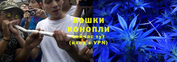 прущие грибы Вязьма